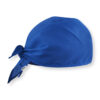 Light Royal Blue