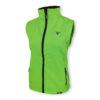 Green (zöld) #65b768