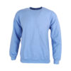 Carolina Blue